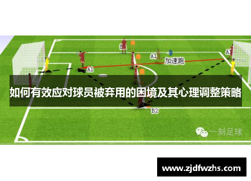 如何有效应对球员被弃用的困境及其心理调整策略